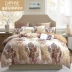 Daifuni Home Textiles chính hãng Bốn mảnh chải dày Bông tinh khiết Phong cách châu Âu Tấm trải chăn đơn giản Bộ trải giường 1,8m - Bộ đồ giường bốn mảnh Bộ đồ giường bốn mảnh
