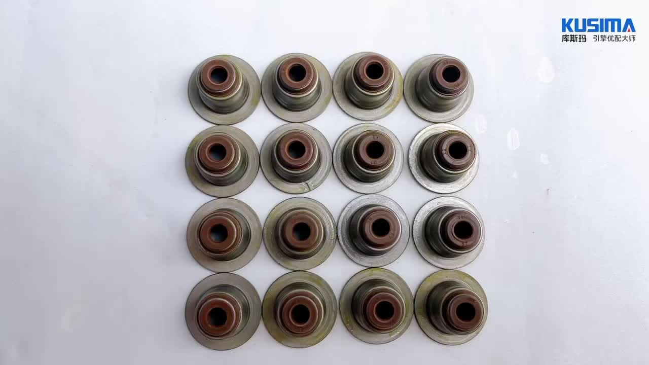 High Quality Engine Parts Rubber Valve Stem Oil Seal For Bmw N46 N46b20