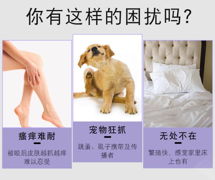 Chó cưng đi tìm bọ cạp ngoài việc khử trùng bọ chét ngoài bọ chét tẩy giun cho mèo trong ống nghiệm cung cấp sử dụng bên ngoài 立 清 bình xịt côn trùng giá