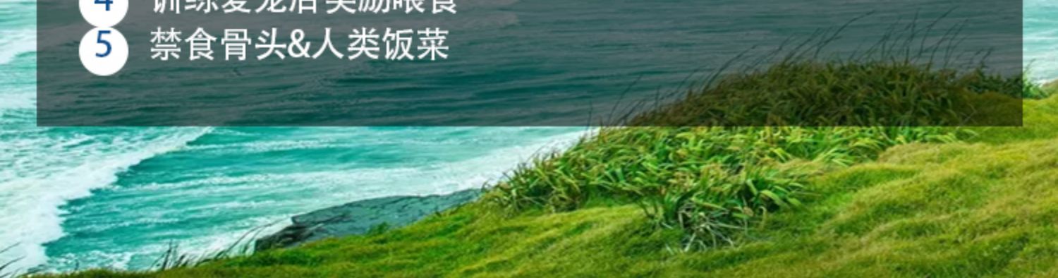 Chó cưng của Foley bắt nạt đặc biệt sữa dê sữa 400g mèo con thành một con mèo làm đẹp tóc để bóng tóc dinh dưỡng - Cat / Dog Health bổ sung 	sữa cho mèo con 1 tháng tuổi