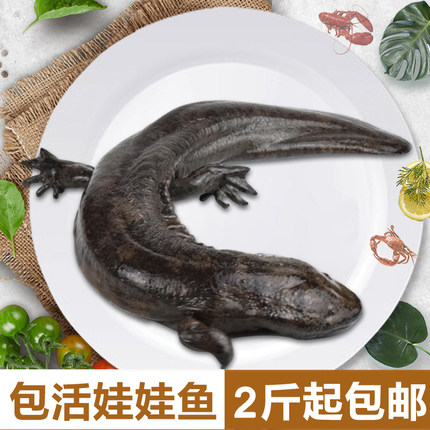 百货50条,全部是实用的玩意儿( 04.18) 百货50条,全部是实用的玩意儿( 04.18)