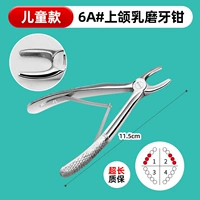 ###Максилла поясничный прорезывание зубов (детская модель)