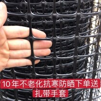 Cultivation Chicken Private Network Thickened Breeding Chicken Fencing Network Breeding Plastic Rubber Mesh Fence Mesh Isolated Fence Cornnet Orchard
