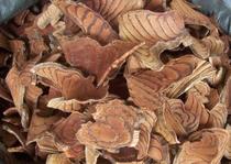 ten Azerbaijan Crafts Grass Wood Dyeing the Natural Plant Dyeing Chinese Herbal Medicine One Catty