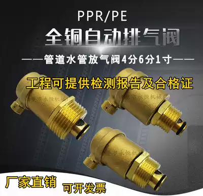 All copper new heating exhaust valve automatic pipe pipe drain valve 4 minutes 6 minutes 1 inch DN15DN20DN25