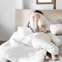 Cotton tribute satin jacquard soybean quilt single double quilt quilt Spring and Autumn Winter thickened winter bedding