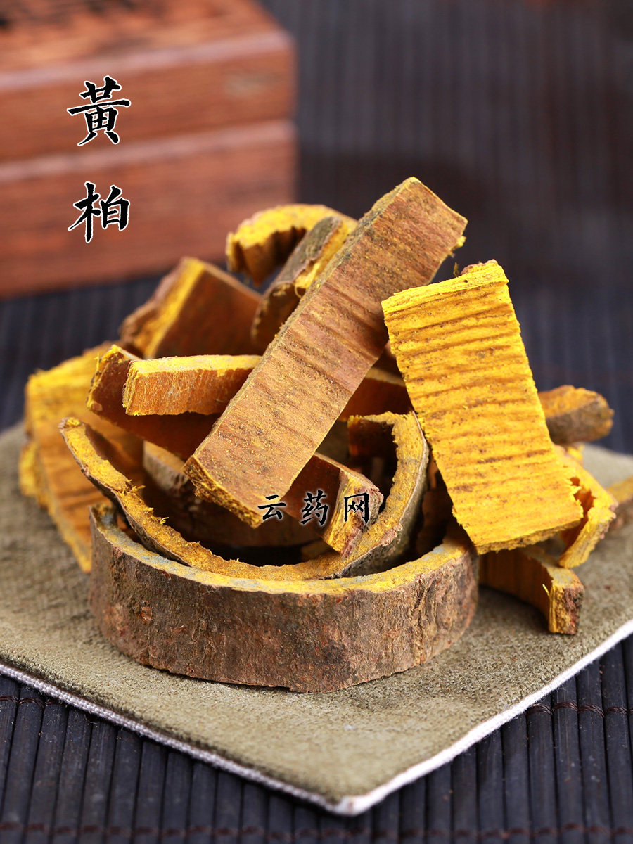 黄柏/生黄柏_常用100个中药品种_常用药材_云药网