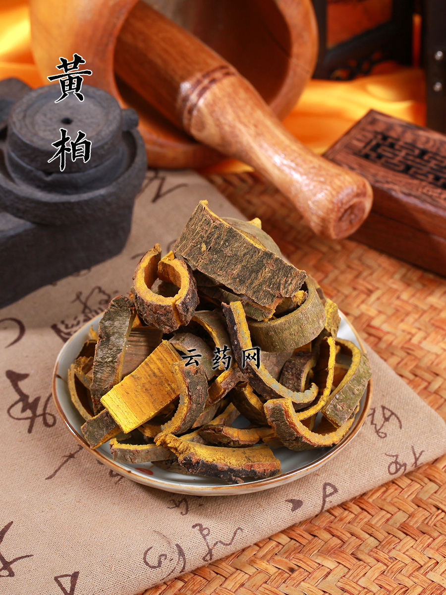 黄柏/生黄柏_常用100个中药品种_常用药材_云药网
