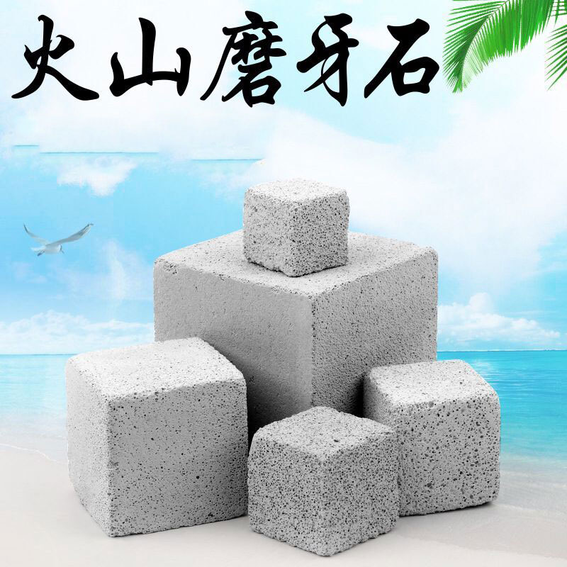 Magic King Golden Flower Flying Squirrel Hamster Squirrel Dragon Cat Holland Pig Grinding Tooth Supplies Calcium Supplements Calcium Trace Elements Volcanic Grindstone