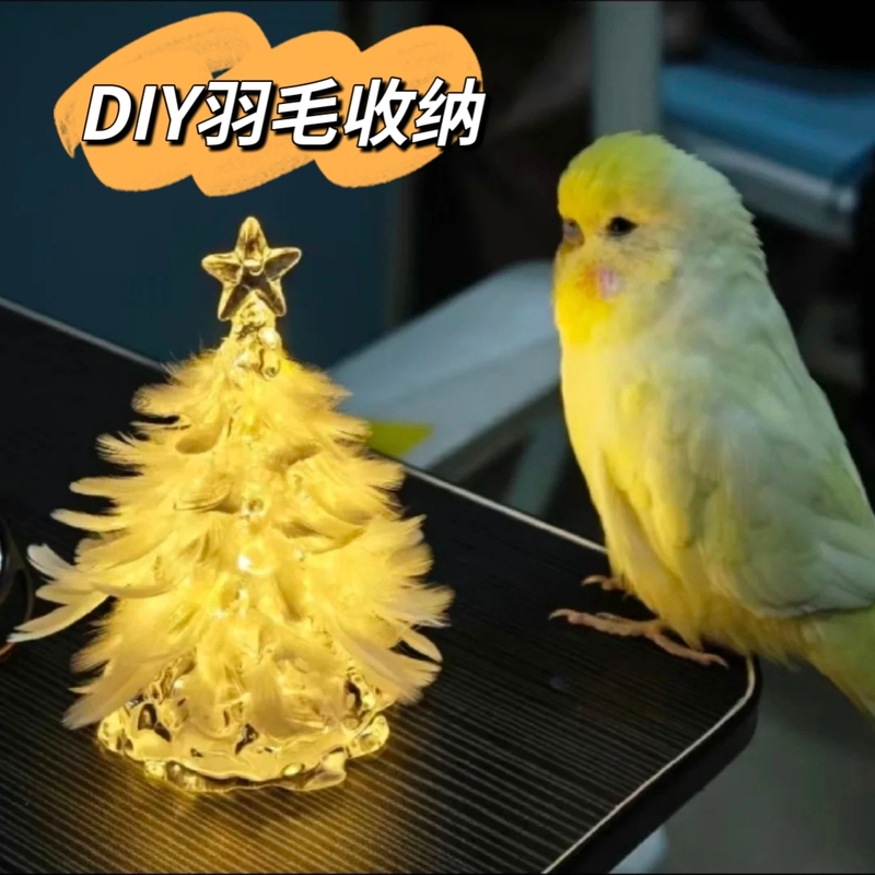 Parrot Feather Collector Bird Storage Box DIY Ornament Bird Keeping Commemorative Display Stand Parrot Supplies Night Light Parrot Feather Collector Bird Storage Box DIY Ornament Bird Keeping Commemorative Display Stand Parrot Supplies Night Light