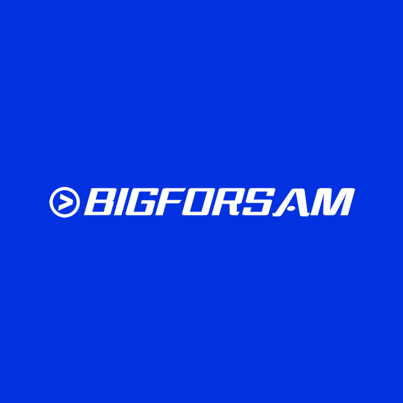 bigforsam中国