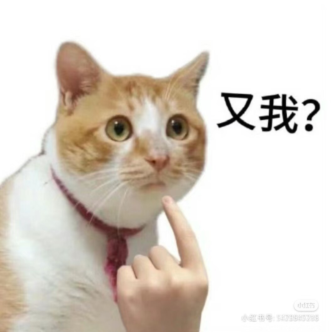 张翠花 Tracy Zhang