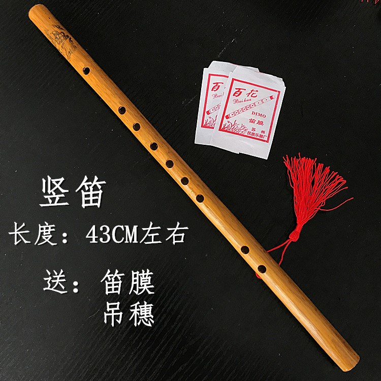 调初学者笛子启蒙零基础单节中小学生吹奏f横笛入门竹笛演奏学生