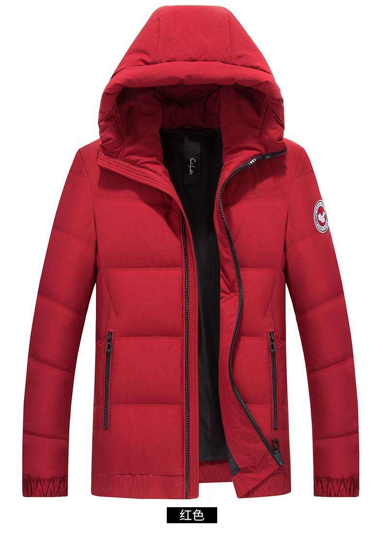 Blouson homme ROMON   en Polyester - Ref 3120563 Image 22
