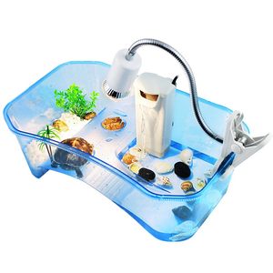 【石金钱龟养殖箱价格】最新石金钱龟养殖箱价