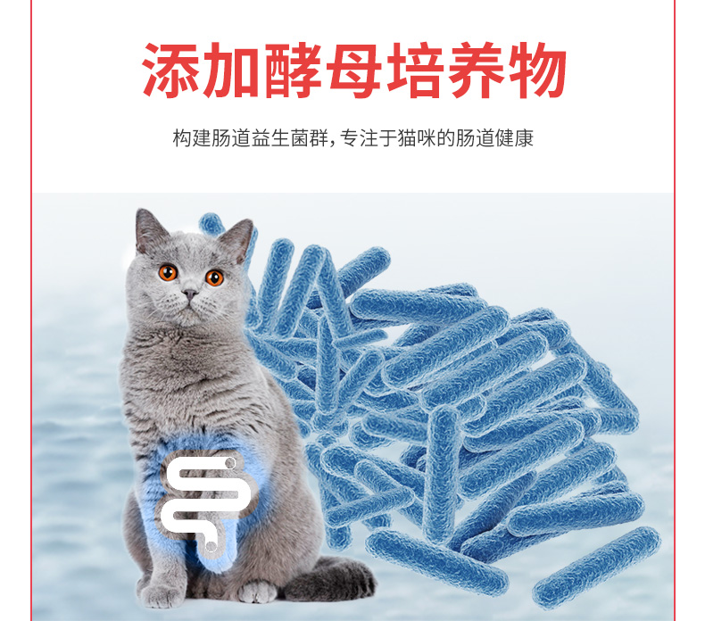Thức ăn cho mèo Youqu cá chép biển sâu Thức ăn cho mèo vào thức ăn cho mèo Thức ăn cho mèo trẻ 1,5kg3 kg 26 tỉnh - Cat Staples thức ăn cho mèo royal canin