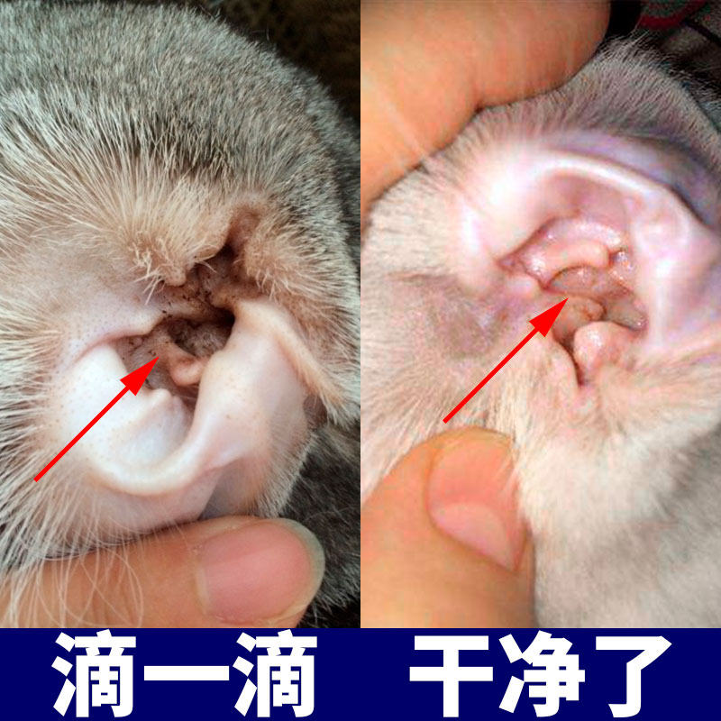 Cat ear mites ear drops ear mites ear mites cat ear wash dog pet dog remove ear mites ear cleaning supplies