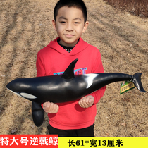 Extra large soft rubber marine animal toy tiger shark sea turtle model childrens toy set kindergarten teaching aids series