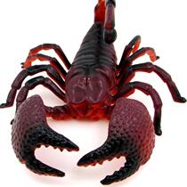 Tricky Halloween simulation animal reptile insect Scorpion spider mantis butterfly boy children toy model