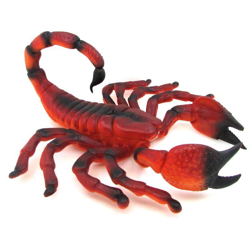 Simulation Animal Crawl Toy Scorpion Spider CENTIPEDES BAT FIVE TOXICIO MODEL WHOLE PERSON HALLOWEEN CHILDREN GIFT