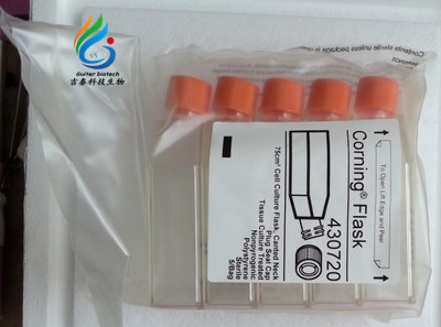 430720U 75cm正方黄盖斜口细胞培养瓶 5个/包 Corning 康宁