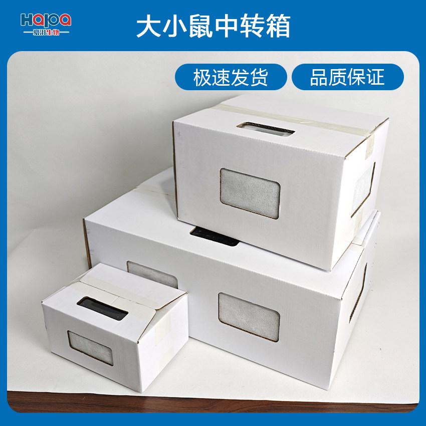 透气大鼠小鼠转运箱运输纸箱笼子小动物运输盒老鼠运输箱运输鼠笼