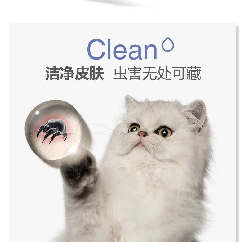 Mèo và sữa tắm cho mèo Jinper Lapos cung cấp vào một loại nước tắm dành cho mèo đặc biệt ngoài việc gội đầu - Cat / Dog Beauty & Cleaning Supplies 	mua lược chải lông mèo