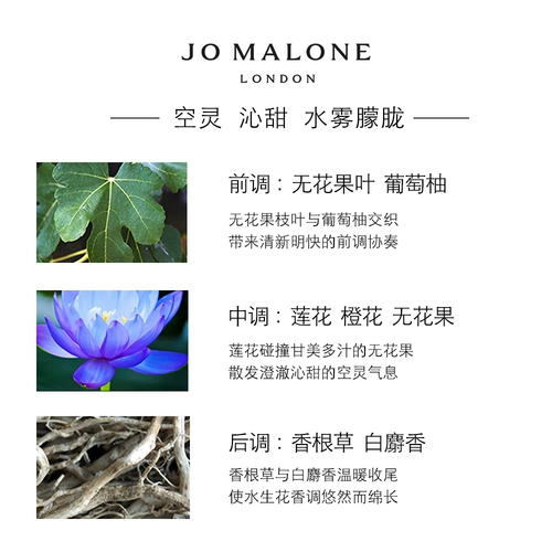 [День супербренда] Jo Malone Sky Garden Серия парфюмерии с инжиром и лотосом Цветочный аромат