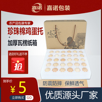 Egg express shockproof packing box send special Earth egg packaging box gift box anti-drop foam egg delivery artifact