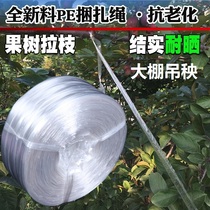 New material PE plastic rope anti-aging fruit tree pull rope resistant to weathering strapping rope greenhouses sun-resistant packaging