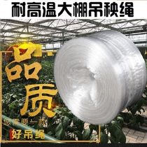 High temperature anti-aging sun-resistant hanging rope new material plastic rope pull rope fruit trees tomatoes peppers etc.