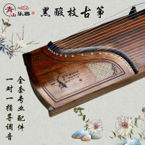 Huale Qin Yun acid branch solid wood guzheng Adult children beginner Guzheng entry professional performance examination Guzheng musical instrument