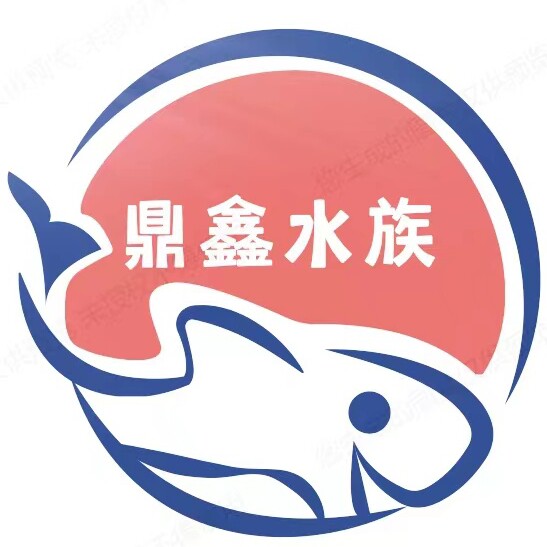 鼎鑫水族