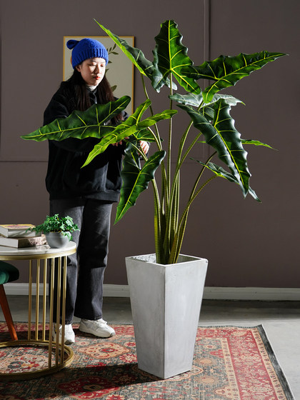 2026 new product Salian Alocasia large simulated artificial tree decoration green plant bionic plant indoor living room landscaping ornaments