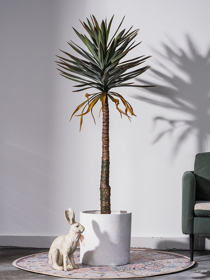 Nordic Artificial Dragon Blood Tree Potted Plant, Succulent Green Plant, Fake Tree for Indoor Living Room, Shop Landscaping, Floor-Standing Decorative Ornament
