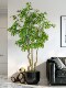 Large Artificial Elm Money Tree Green Plant, Fake Nandina Bamboo Tree for Indoor Living Room, Shop Window Decoration, Floor-Standing Ornament