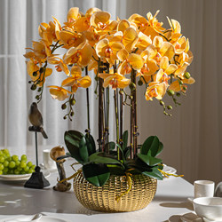 Moisturizing Phalaenopsis Artificial Flower Arrangement for Hotel Front Desk, Indoor Living Room, Entrance Decoration, Floral Display