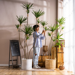 Large Artificial Millennium Tree, Dragon's Blood Tree, Green Plant, Fake Tree, Indoor Living Room Window Display Decoration, Bionic Potted Plant
