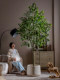 Simulated Banyan Tree, High-End Bionic Green Plant for Landscaping and Decoration, Indoor Living Room Artificial Tree, High-End Light Luxury Floor-Standing Plant Ornament
