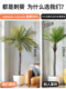 Large High-End Light Luxury Artificial Tree, Sunflower, Areca Palm, Bionic Green Plant, Potted Fake Tree, Living Room Landscaping Decoration