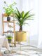 High-End Realistic Dragon Blood Tree Agave Artificial Tree Green Plant Potted Indoor Living Room Landscaping Decoration Ornament