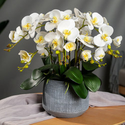High-End Phalaenopsis Artificial Flower Arrangement for Dining Table, Living Room, Tv Cabinet, Potted Plant Decoration, Fake Orchid Set Decoration