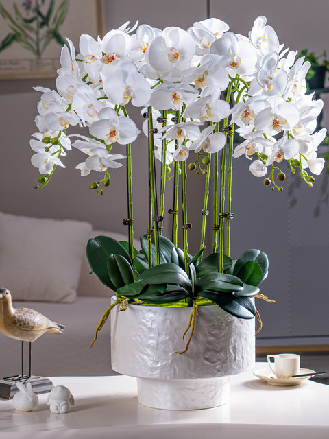 Large Pot of High-End, Realistic-Feeling, Moisturizing Phalaenopsis Artificial Flowers, Plastic Dried Flowers, Fake Floral Arrangements, Indoor Living Room Decorations