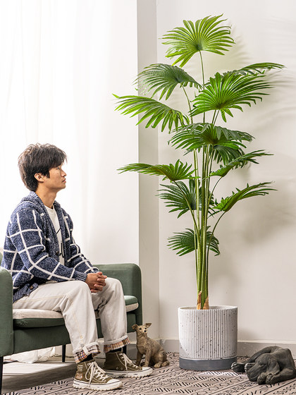 Large Artificial Palm Tree with Fan-Shaped Leaves, Floor-Standing Potted Plant, Fake Tree, Green Plant, Indoor Living Room Landscaping Decoration Ornament