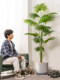 Large Artificial Palm Tree with Fan-Shaped Leaves, Floor-Standing Potted Plant, Fake Tree, Green Plant, Indoor Living Room Landscaping Decoration Ornament