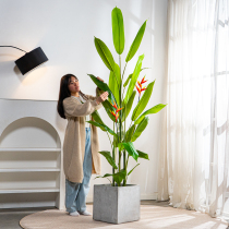 Large high bird of paradise artificial flowers and green plants bionic artificial flowers and trees artificial trees and plants indoor living room decoration floor-standing ornaments
