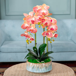 High-End Artificial Phalaenopsis Orchid Flower Arrangement Potted Plant Fake Flowers for Living Room Coffee Table Dining Table Decoration Ornaments