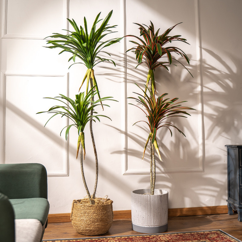 Nordic Emulation Seven Color Iron Dragon Blood Tree Green Plant Indoor Home Living Room Ground Fake Tree Decoration Pendulum plant-Taobao