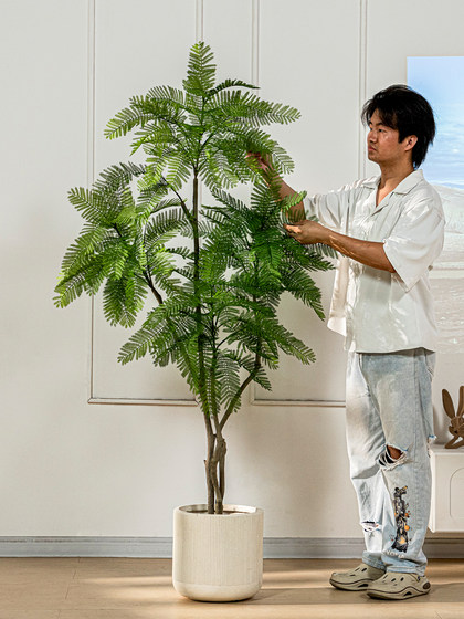 Artificial Green Plant Jacaranda Pomelo Tree Fake Tree Large Indoor Living Room Floor-Standing Decorative Ornament Artificial Plant Landscaping
