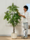 Artificial Green Plant Jacaranda Pomelo Tree Fake Tree Large Indoor Living Room Floor-Standing Decorative Ornament Artificial Plant Landscaping